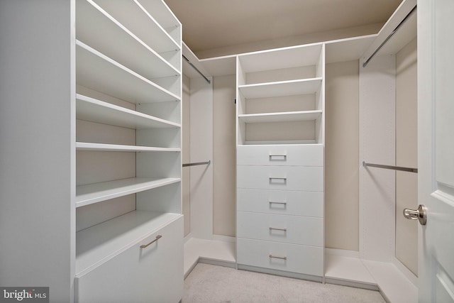 spacious closet with carpet floors