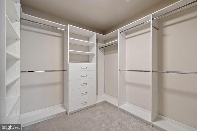 walk in closet with light carpet