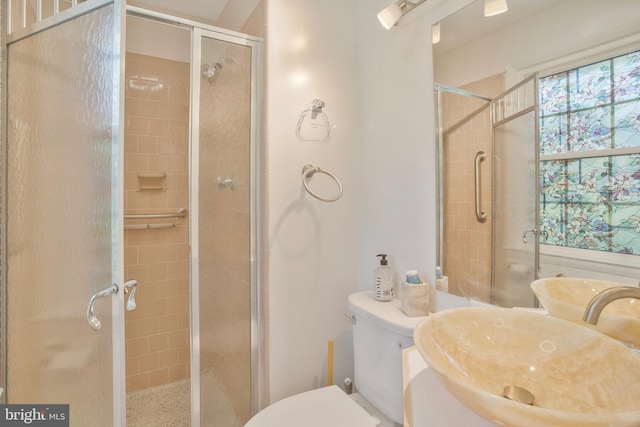 full bathroom featuring a sink, a stall shower, and toilet
