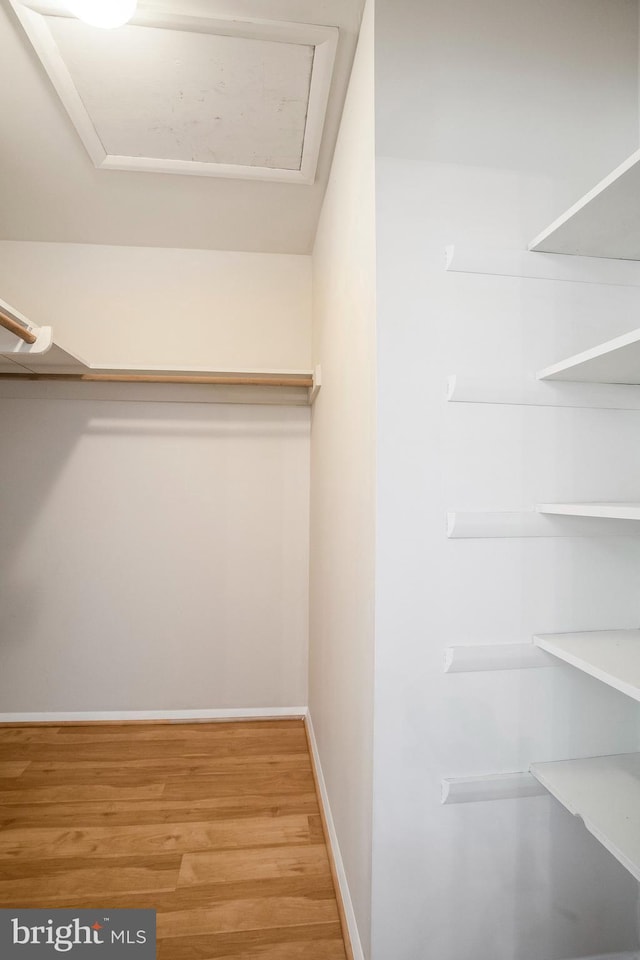 walk in closet with wood finished floors