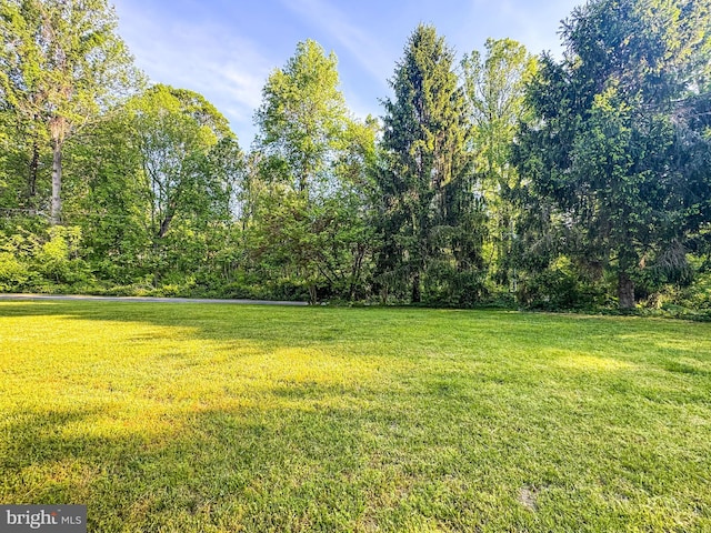 13478 Spruce, King George, VA 22485 - view of green lawn