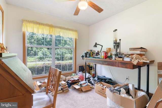 13478 Spruce, King George, VA 22485 - living area with carpet and a ceiling fan