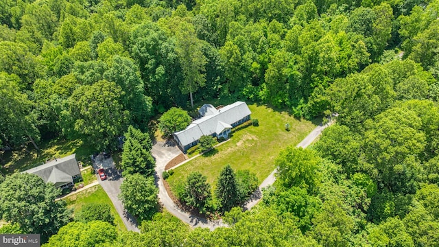 13478 Spruce, King George, VA 22485 - bird's eye view of a forest