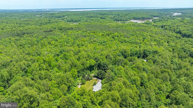 13478 Spruce, King George, VA 22485 - bird's eye view of a forest