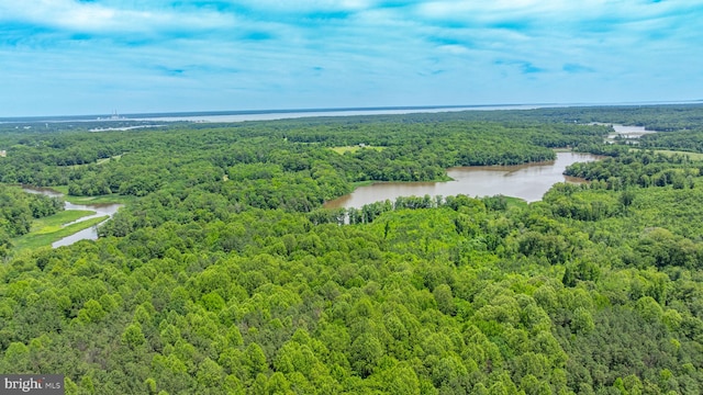13478 Spruce, King George, VA 22485 - aerial view of a forest and a nearby body of water