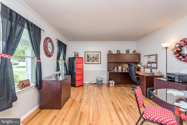 office featuring baseboards, ornamental molding, light wood finished floors, and a textured ceiling