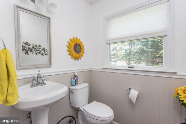 half bathroom with a sink, wainscoting, and toilet