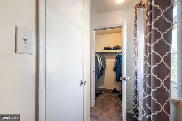bathroom with a shower with curtain and a spacious closet