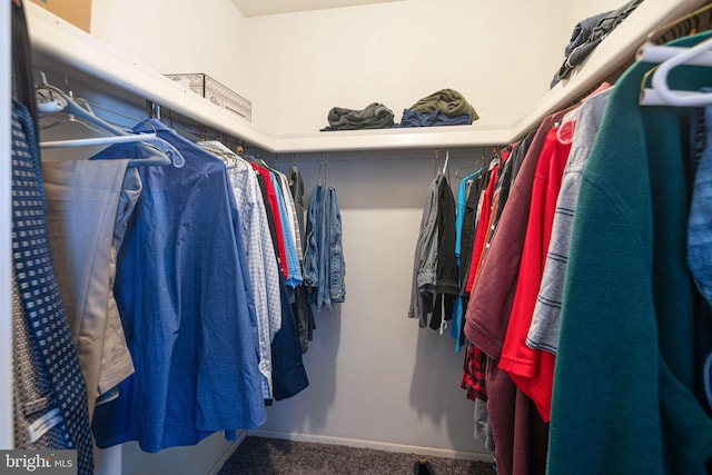 spacious closet with carpet floors