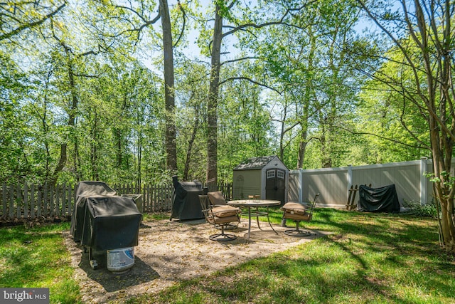 view of yard with a storage unit, a fenced backyard, and an outbuilding