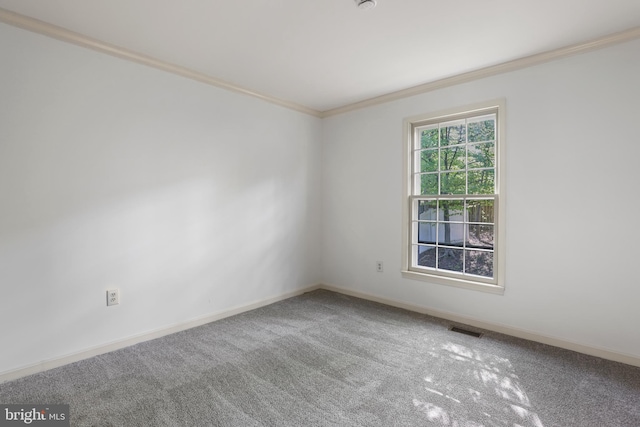 carpeted empty room featuring visible vents, baseboards, and crown molding