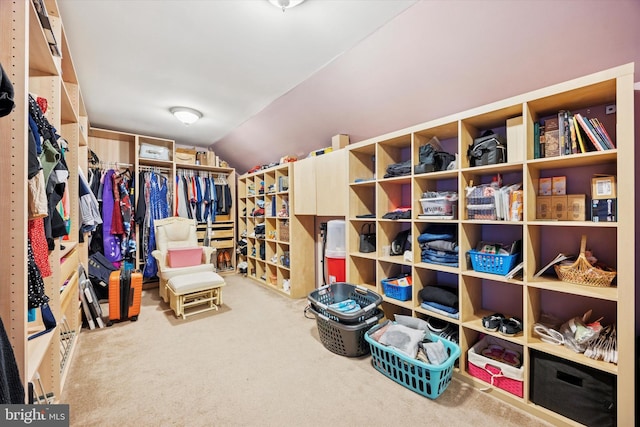 spacious closet featuring carpet and vaulted ceiling