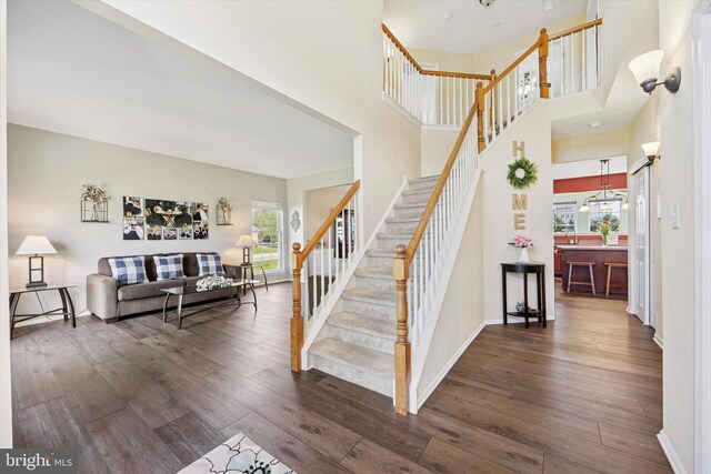 stairway with a high ceiling, a healthy amount of sunlight, and wood finished floors