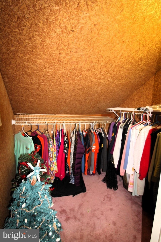 646 River Oak Ct Unit A-8Bs, Salisbury, MD 21801 - spacious closet with vaulted ceiling and carpet flooring