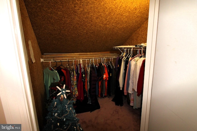 646 River Oak Ct Unit A-8Bs, Salisbury, MD 21801 - spacious closet featuring carpet floors