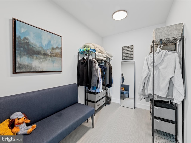 walk in closet with carpet floors