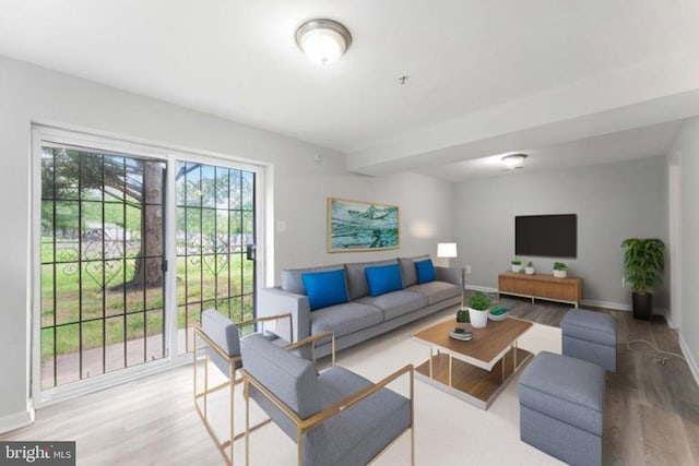 living room featuring wood finished floors and baseboards