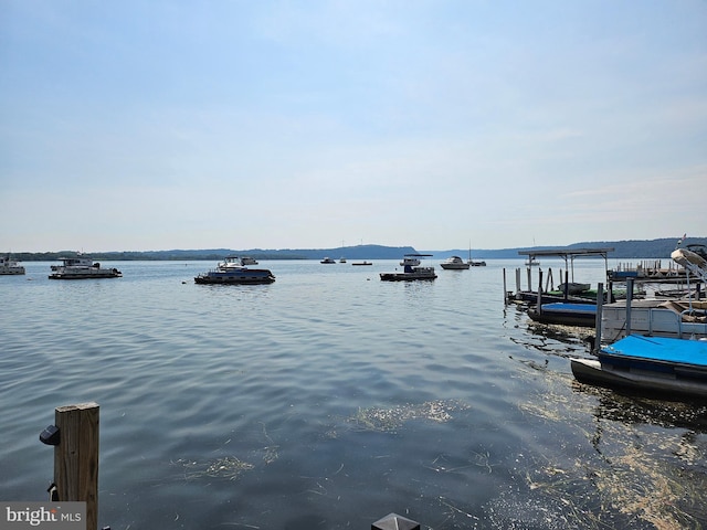 dock area with a water view