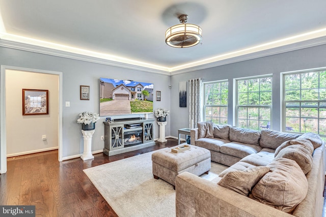 living area with plenty of natural light, baseboards, a glass covered fireplace, dark wood-style flooring, and crown molding