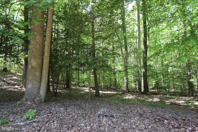 3901 Stoneybrook Rd, White Plains, MD 20695 - view of local wilderness featuring a view of trees
