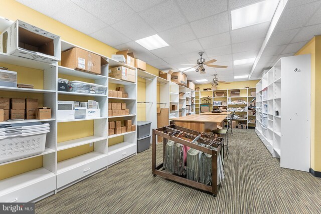 storage with ceiling fan