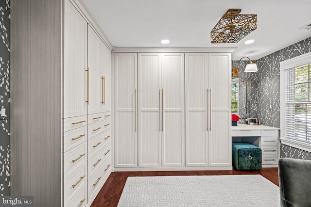 spacious closet featuring dark wood-type flooring