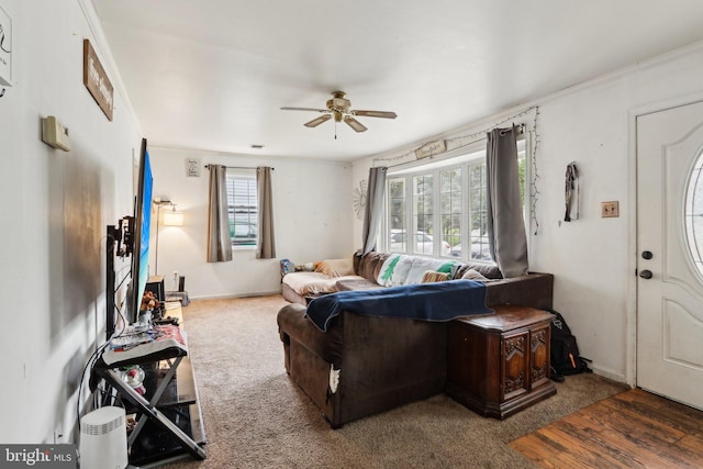 living room featuring a ceiling fan and carpet floors