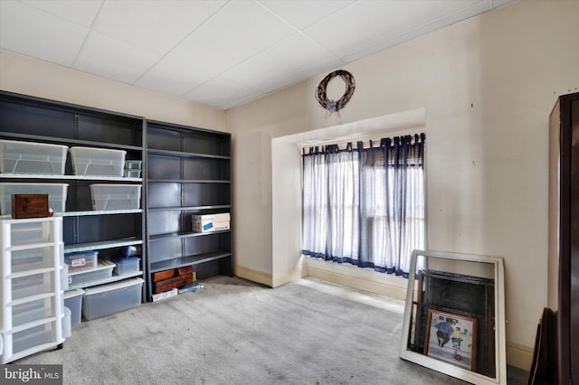 unfurnished room featuring baseboards, carpet, and a drop ceiling