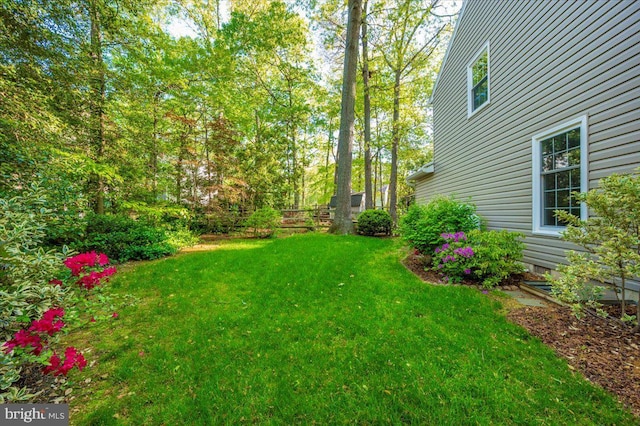 view of yard