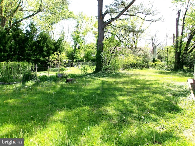 8807 Fearne Ave, Baltimore, MD 21234 - view of yard
