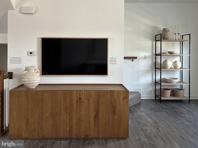 interior details featuring baseboards and wood finished floors