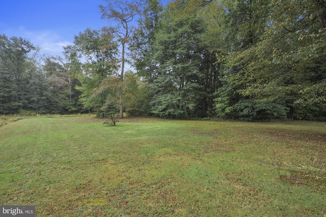 view of yard featuring a view of trees