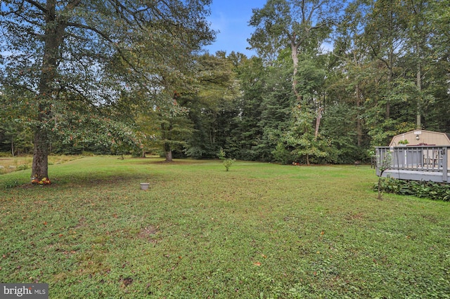 view of yard