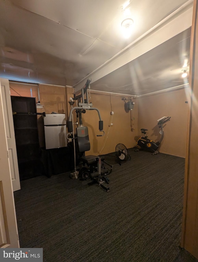 2407 S 12th St, Camden, NJ 08104 - exercise room with carpet floors
