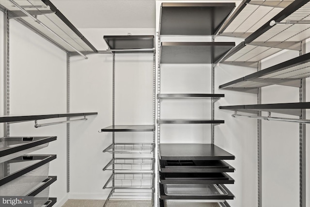 view of spacious closet