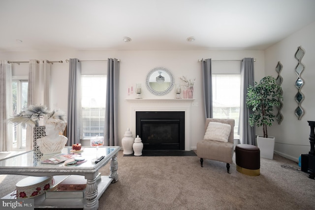 57 Pebble Creek Dr, Smyrna, DE 19977 - carpeted living room featuring a fireplace with flush hearth
