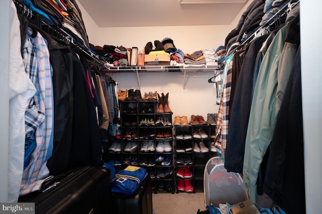 57 Pebble Creek Dr, Smyrna, DE 19977 - view of spacious closet