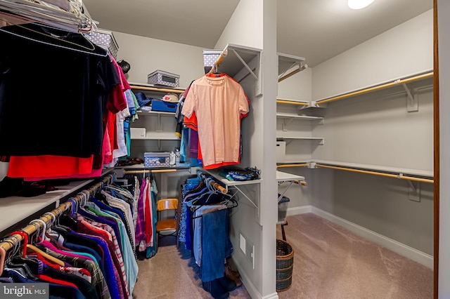 6354 Islington St, Middle River, MD 21220 - walk in closet featuring carpet