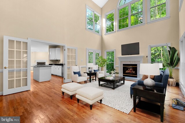 12850 Salmon Run Ct, Manassas, VA 20112 - living room with a towering ceiling, a glass covered fireplace, and a healthy amount of sunlight