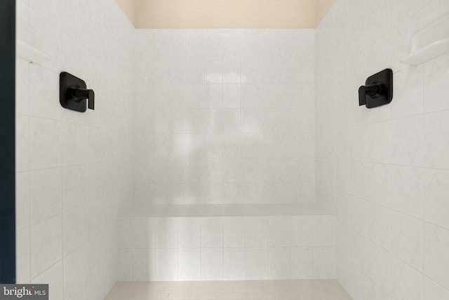 12850 Salmon Run Ct, Manassas, VA 20112 - interior details with tiled shower