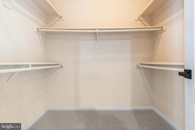 12850 Salmon Run Ct, Manassas, VA 20112 - walk in closet featuring carpet floors