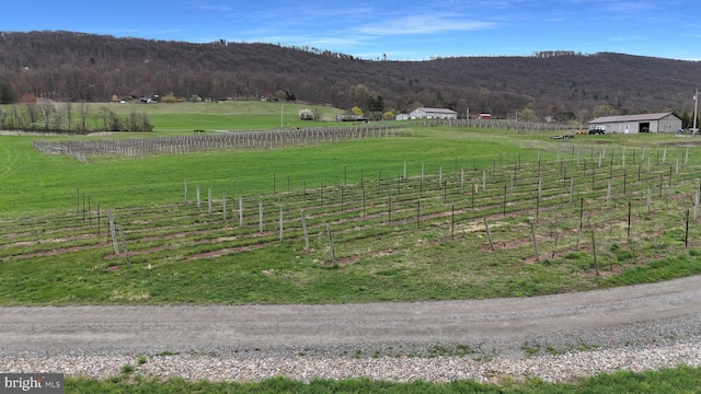 596 Harman Rd, Halifax, PA 17032
