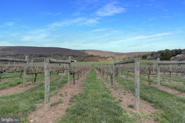 596 Harman Rd, Halifax, PA 17032