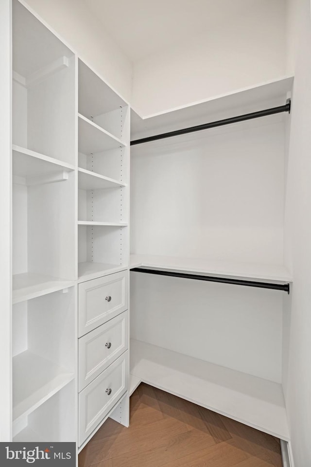 view of walk in closet