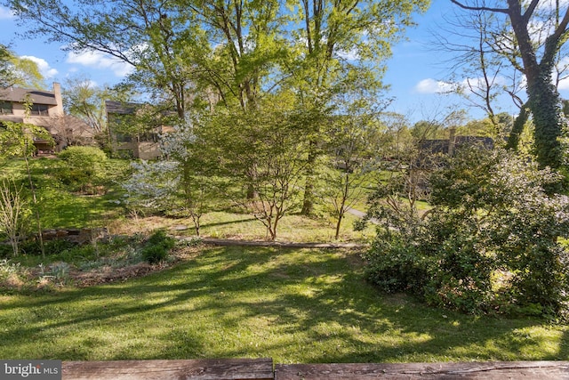 view of yard