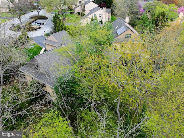 aerial view