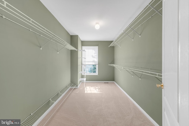 walk in closet with carpet