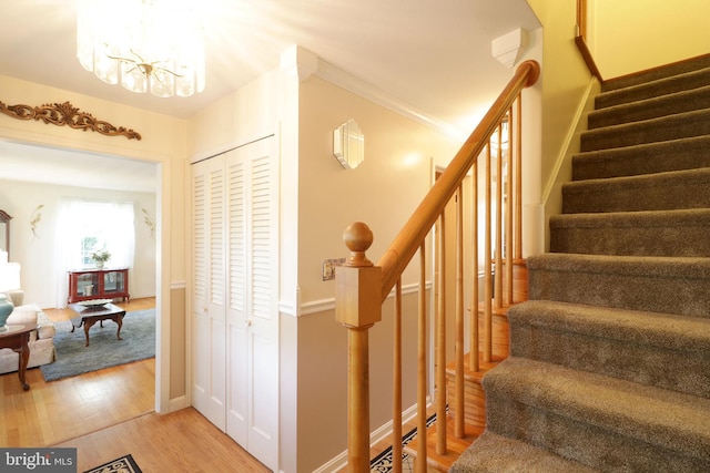 stairs with an inviting chandelier, crown molding, and wood finished floors