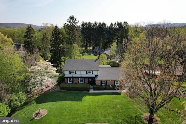 bird's eye view with a view of trees