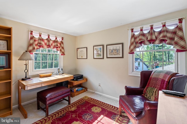 office with carpet floors and baseboards